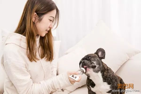 狗狗的第一支轻奢营养膏：珍贵的黑松露，给珍贵的小毛孩-9.jpeg