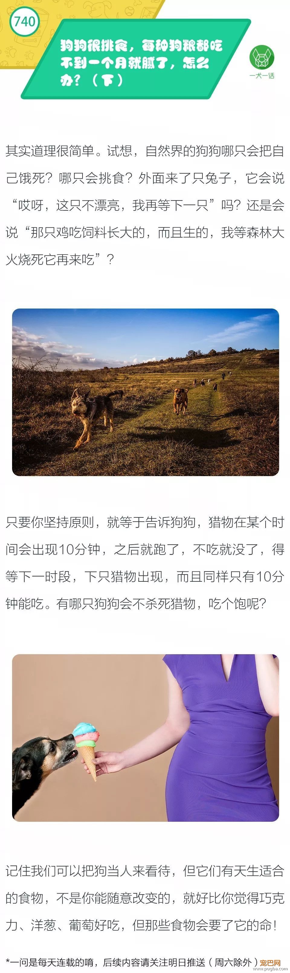 狗狗很挑食，每种狗粮都吃不到一个月就腻了，怎么办？（下）-1.jpeg