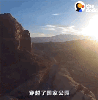 男子独自行驶在无人公路上，发现前方有两个小黑点在移动……-5.gif