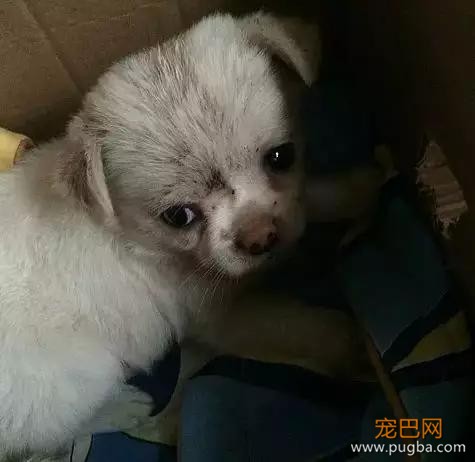男子独自行驶在无人公路上，发现前方有两个小黑点在移动……-10.jpg