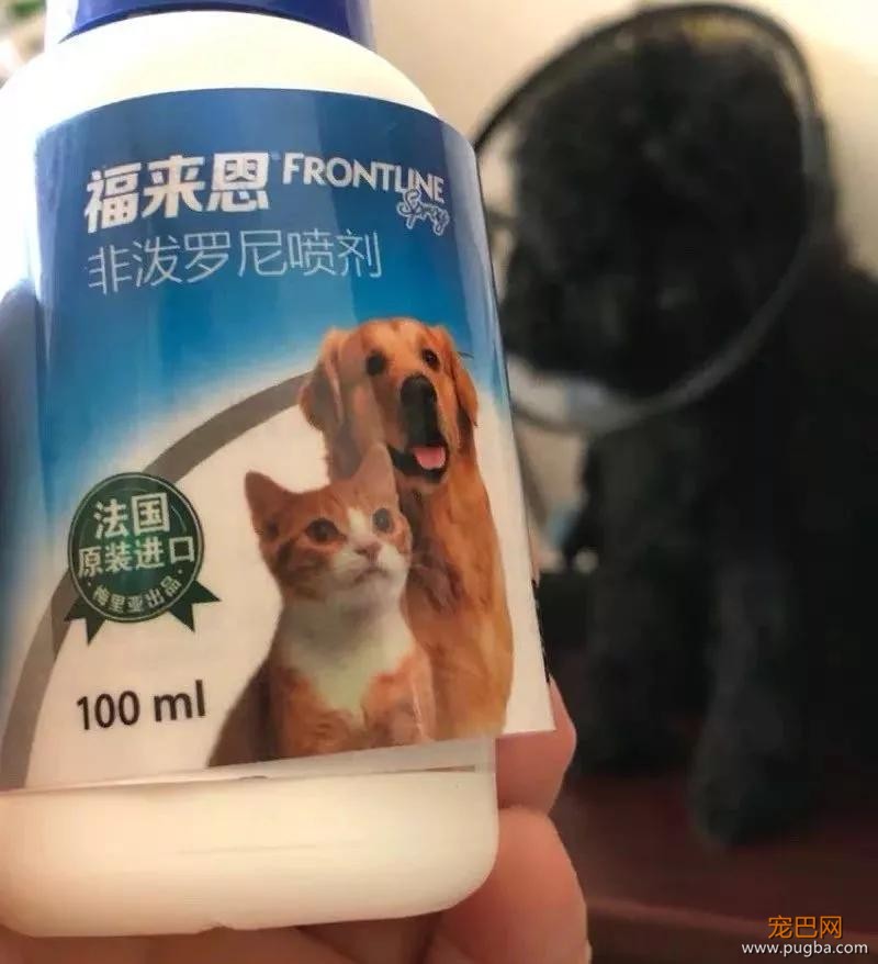 男子独自行驶在无人公路上，发现前方有两个小黑点在移动……-13.jpg