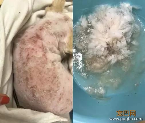 男子独自行驶在无人公路上，发现前方有两个小黑点在移动……-11.jpg