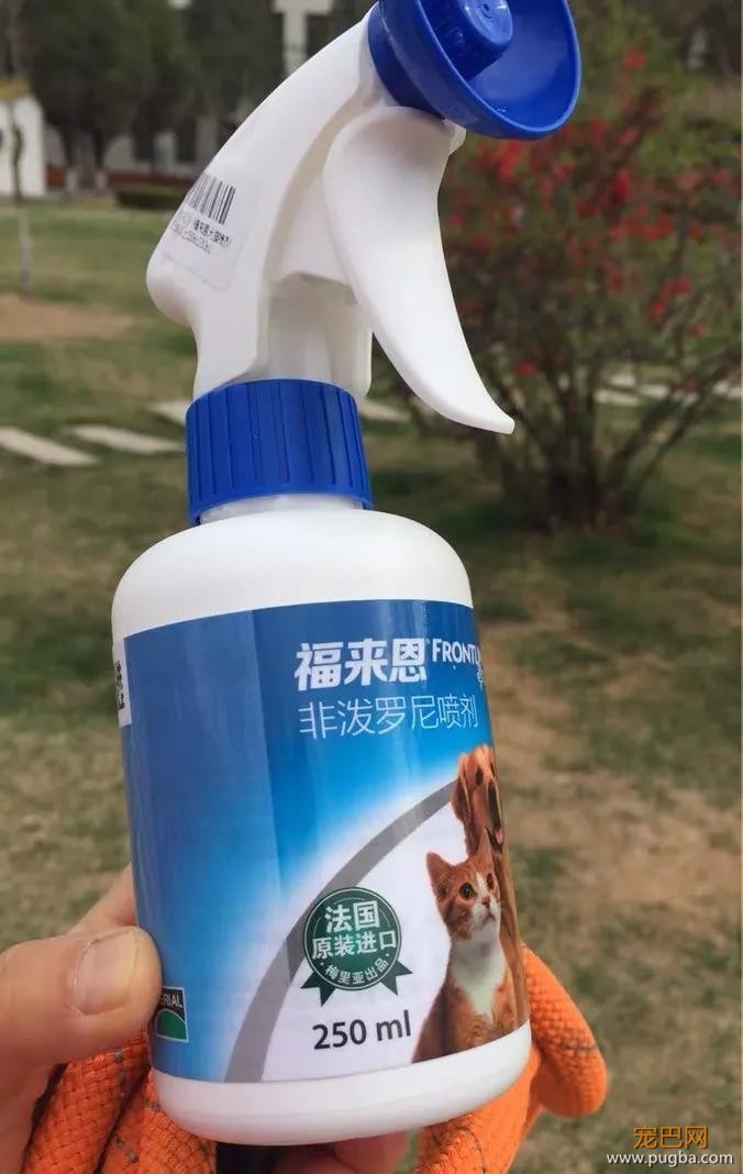 男子独自行驶在无人公路上，发现前方有两个小黑点在移动……-12.jpg