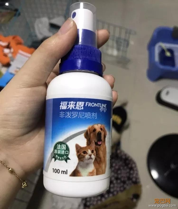 男子独自行驶在无人公路上，发现前方有两个小黑点在移动……-16.jpg