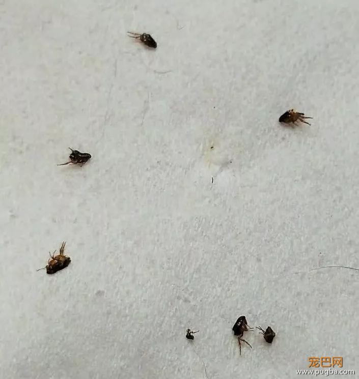 男子独自行驶在无人公路上，发现前方有两个小黑点在移动……-20.jpg