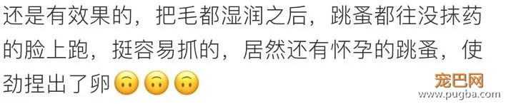 男子独自行驶在无人公路上，发现前方有两个小黑点在移动……-19.jpg