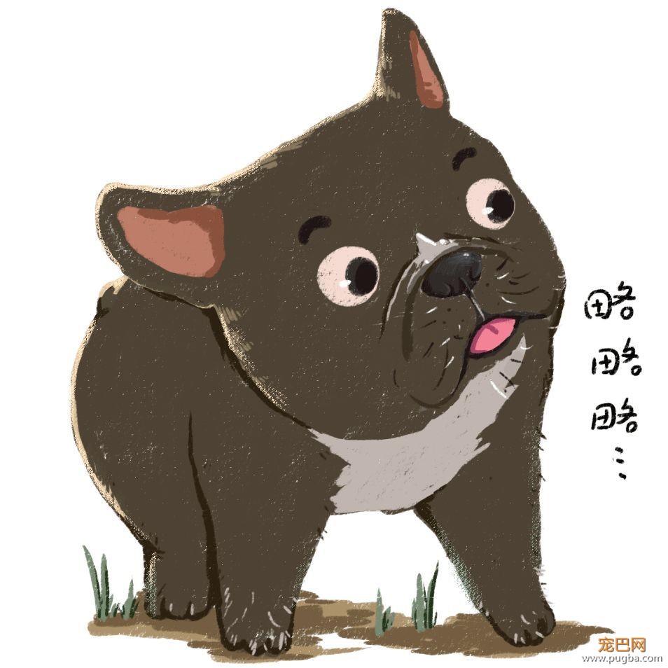 芝麻充实而又忙碌的一天，看得我实在惭愧-1.jpeg
