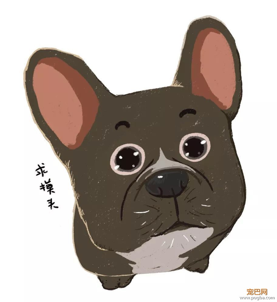 芝麻充实而又忙碌的一天，看得我实在惭愧-7.jpeg