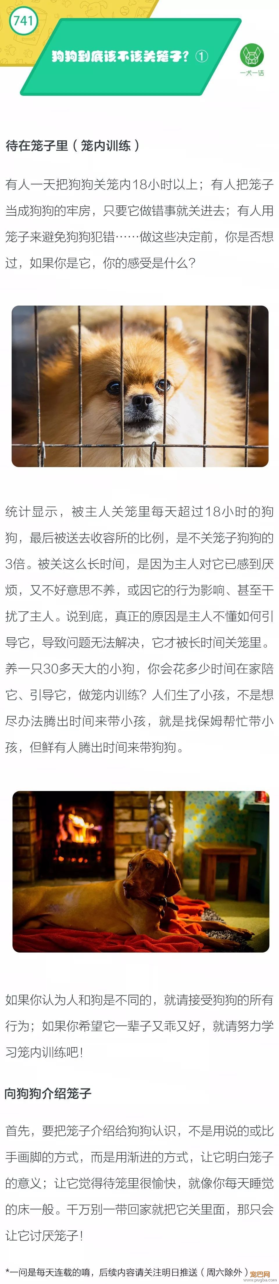 狗狗到底该不该关笼子？①-1.jpeg