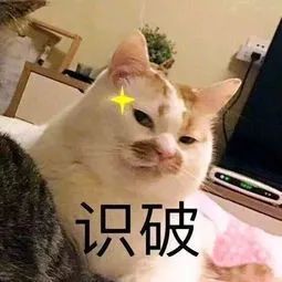 5分钟知识 | 学会这些，让狗狗乖乖吃药-5.jpeg