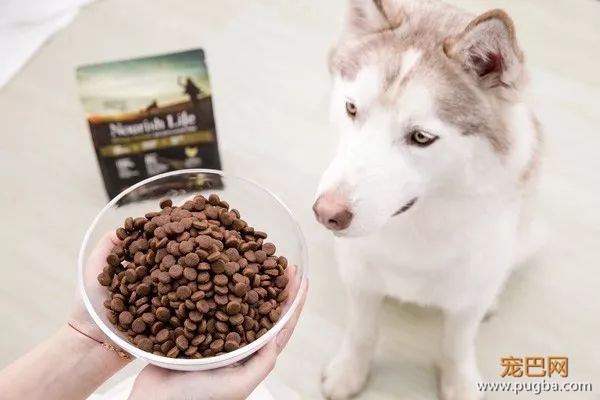 要便宜、天然的进口粮？别找了，大自然最精华的部分都在这袋狗粮里了-6.jpeg