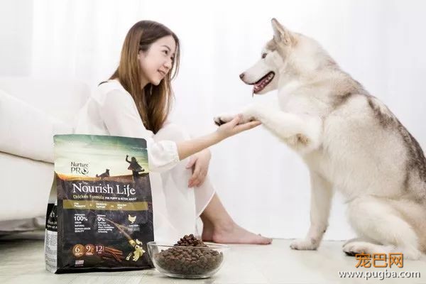 要便宜、天然的进口粮？别找了，大自然最精华的部分都在这袋狗粮里了-7.jpeg