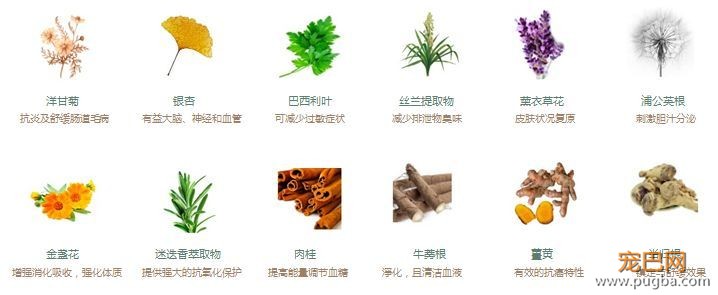 要便宜、天然的进口粮？别找了，大自然最精华的部分都在这袋狗粮里了-9.jpeg