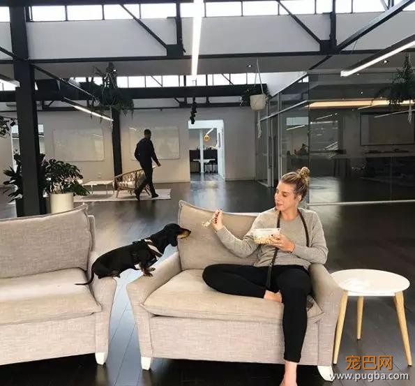 自从领导带狗上班，员工再也不迟到了-5.jpg