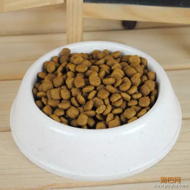 泡狗粮用什么水？沸水、温水还是冷水？-1.jpeg