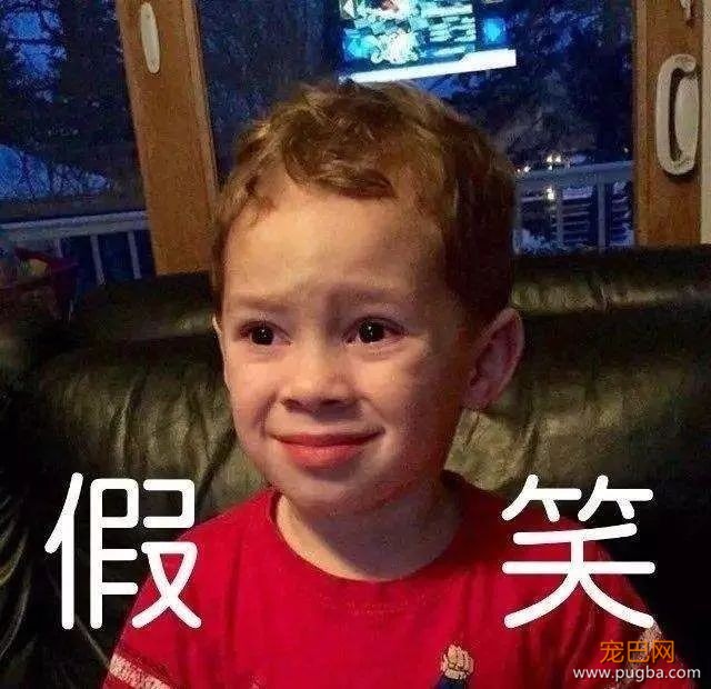 日本以“科研”之名捕杀鲸鱼，哪位科学家能科研下日本人？-6.jpeg
