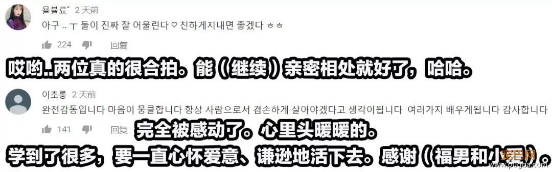 小猴子惨遭排挤和暴打，拒绝沟通和外出，直到它开始吸狗……-20.jpeg