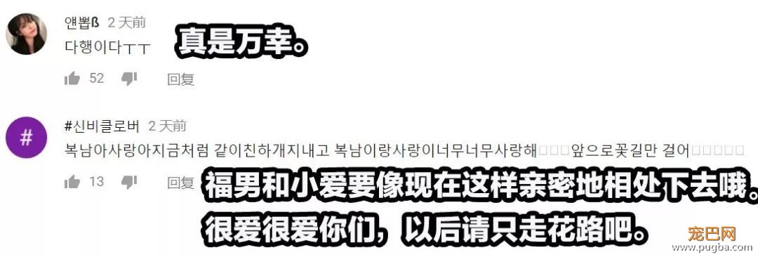 小猴子惨遭排挤和暴打，拒绝沟通和外出，直到它开始吸狗……-22.jpeg