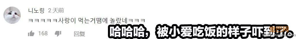 小猴子惨遭排挤和暴打，拒绝沟通和外出，直到它开始吸狗……-21.jpeg