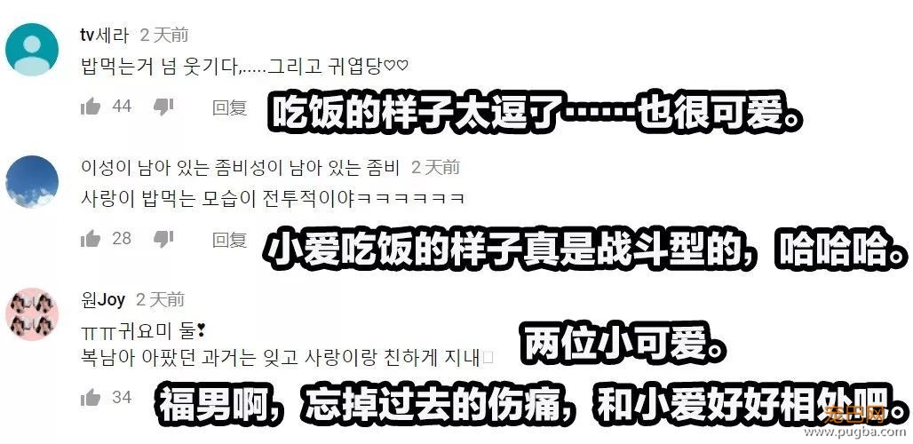 小猴子惨遭排挤和暴打，拒绝沟通和外出，直到它开始吸狗……-23.jpeg