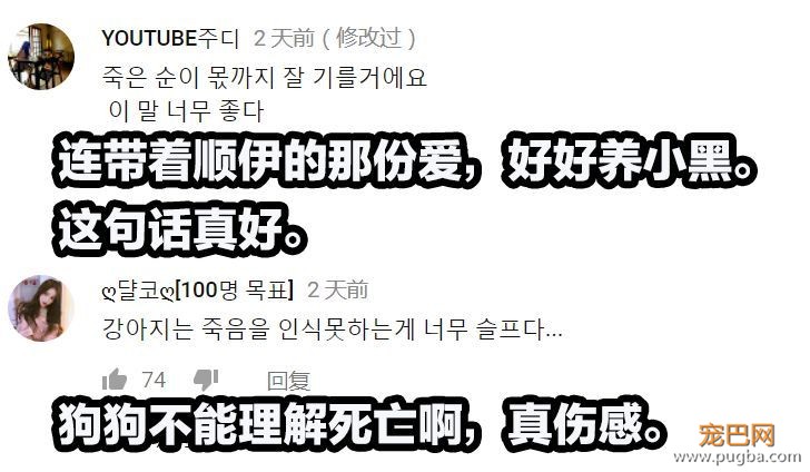 狗狗的友谊：你最好的朋友，不会忘记你-13.jpeg