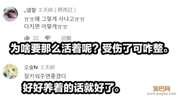 狗狗的友谊：你最好的朋友，不会忘记你-14.jpeg