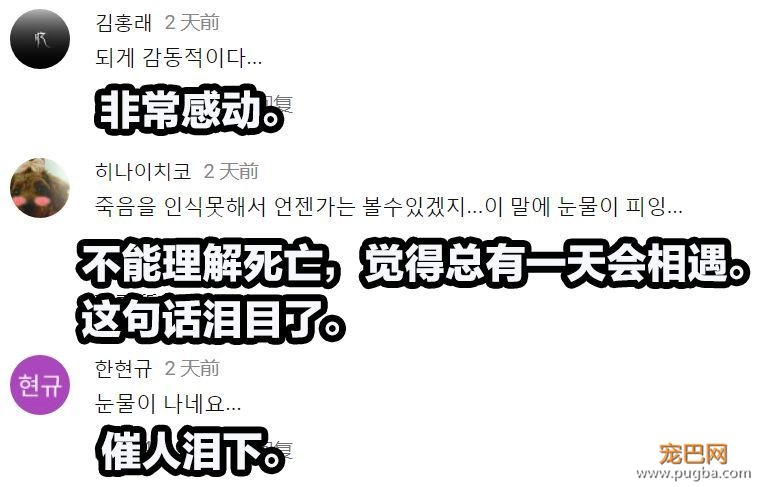狗狗的友谊：你最好的朋友，不会忘记你-12.jpeg