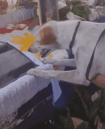 泪崩！教授去世后，他最爱的流浪狗却一直在教室门口等他下课！-12.gif