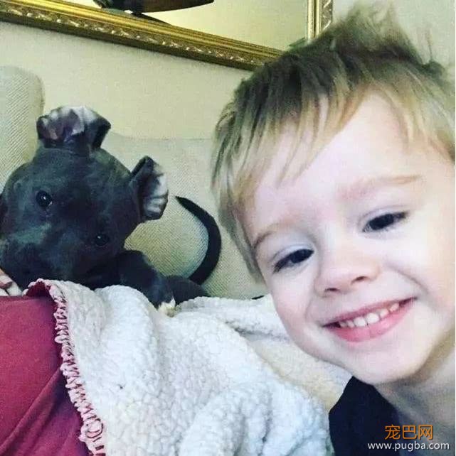 面对孩子的纯真，凶狠的比特犬露出温柔的一面：推着小主人荡秋千-1.jpeg