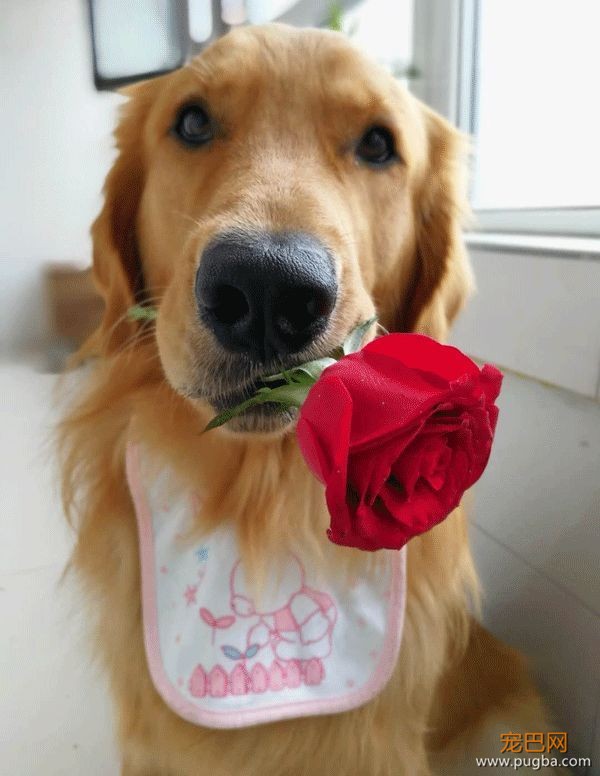 4月生日说 | 因为有你，荒芜的世界里我不再孤身一人-2.jpeg