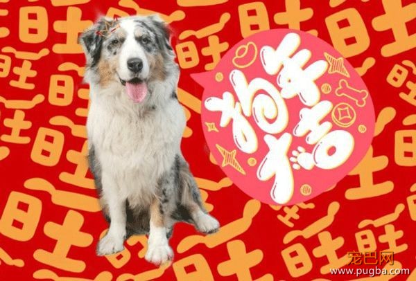 4月生日说 | 因为有你，荒芜的世界里我不再孤身一人-6.jpeg