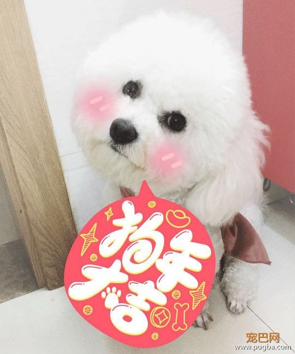 4月生日说 | 因为有你，荒芜的世界里我不再孤身一人-8.jpeg