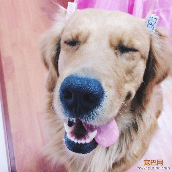 4月生日说 | 因为有你，荒芜的世界里我不再孤身一人-21.jpeg