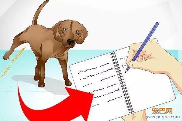 狗狗生病了，怎么照顾它？-2.jpeg