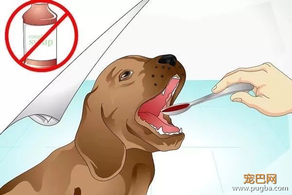 狗狗生病了，怎么照顾它？-15.jpeg
