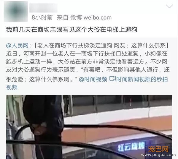 电梯遛狗？也没见你出去散心时直接上跑步机呐-6.jpeg