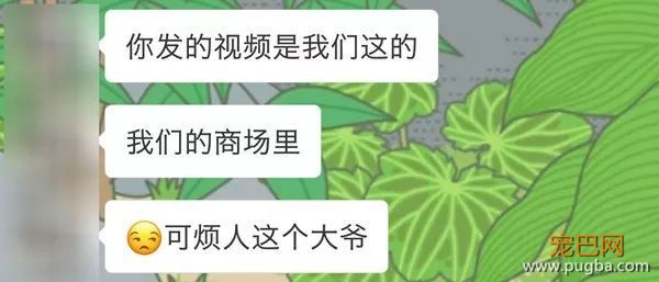 电梯遛狗？也没见你出去散心时直接上跑步机呐-5.jpeg