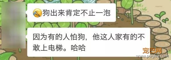 电梯遛狗？也没见你出去散心时直接上跑步机呐-10.jpeg