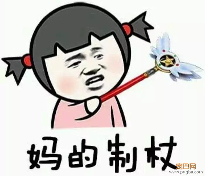 电梯遛狗？也没见你出去散心时直接上跑步机呐-14.jpeg