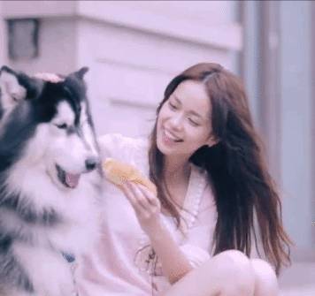 狗狗究竟为啥会挑食？-6.jpeg