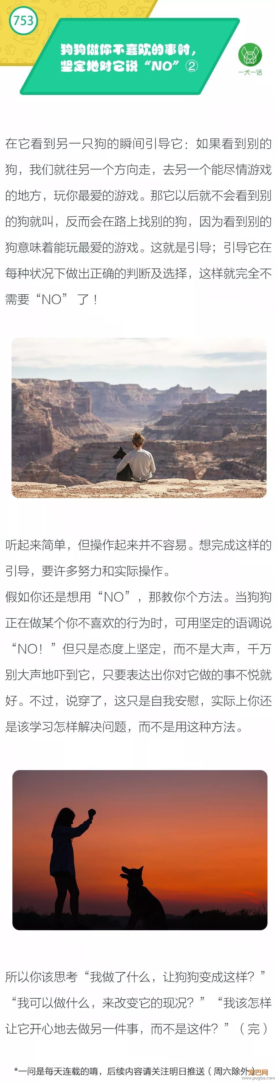 狗狗做你不喜欢的事时，坚定地对它说“NO” ②-1.jpeg
