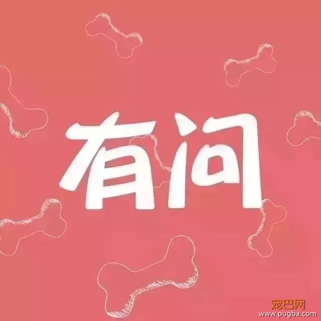细小、瘟热、冠状：三大生命杀手如何防治？-1.jpeg