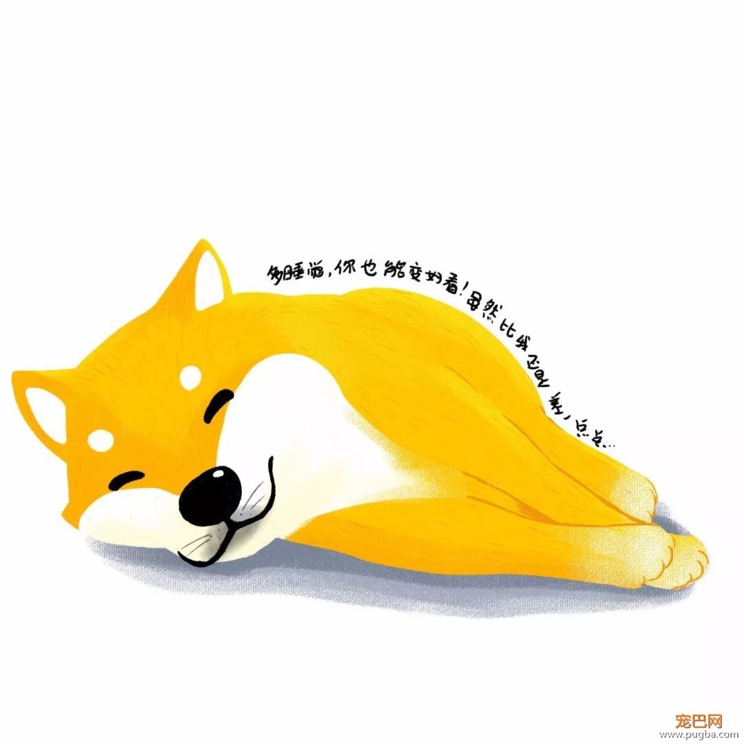 苦学半年狗语后，我终于采访到了你们的偶像——烧饼！-4.jpeg