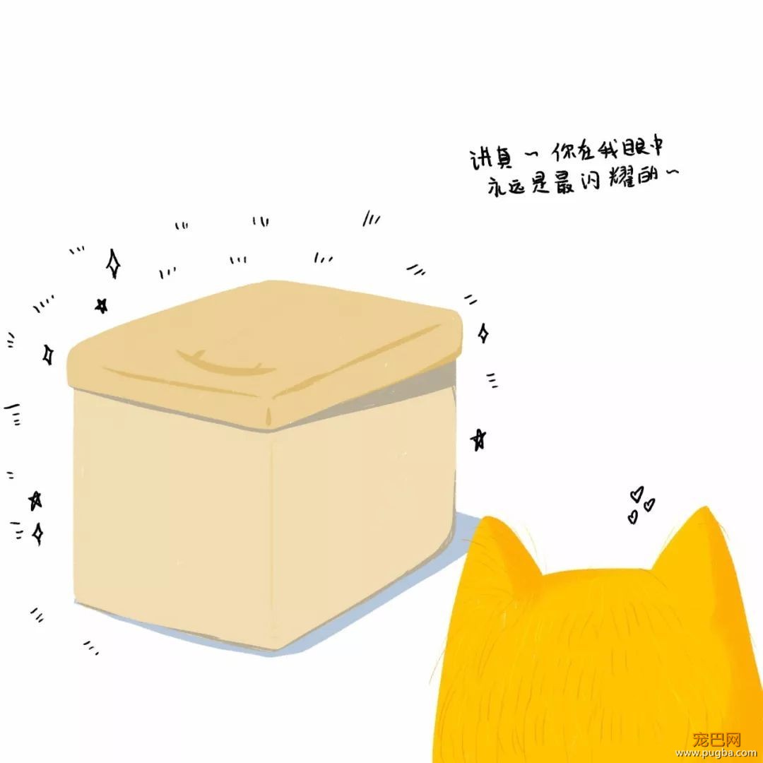 苦学半年狗语后，我终于采访到了你们的偶像——烧饼！-5.jpeg
