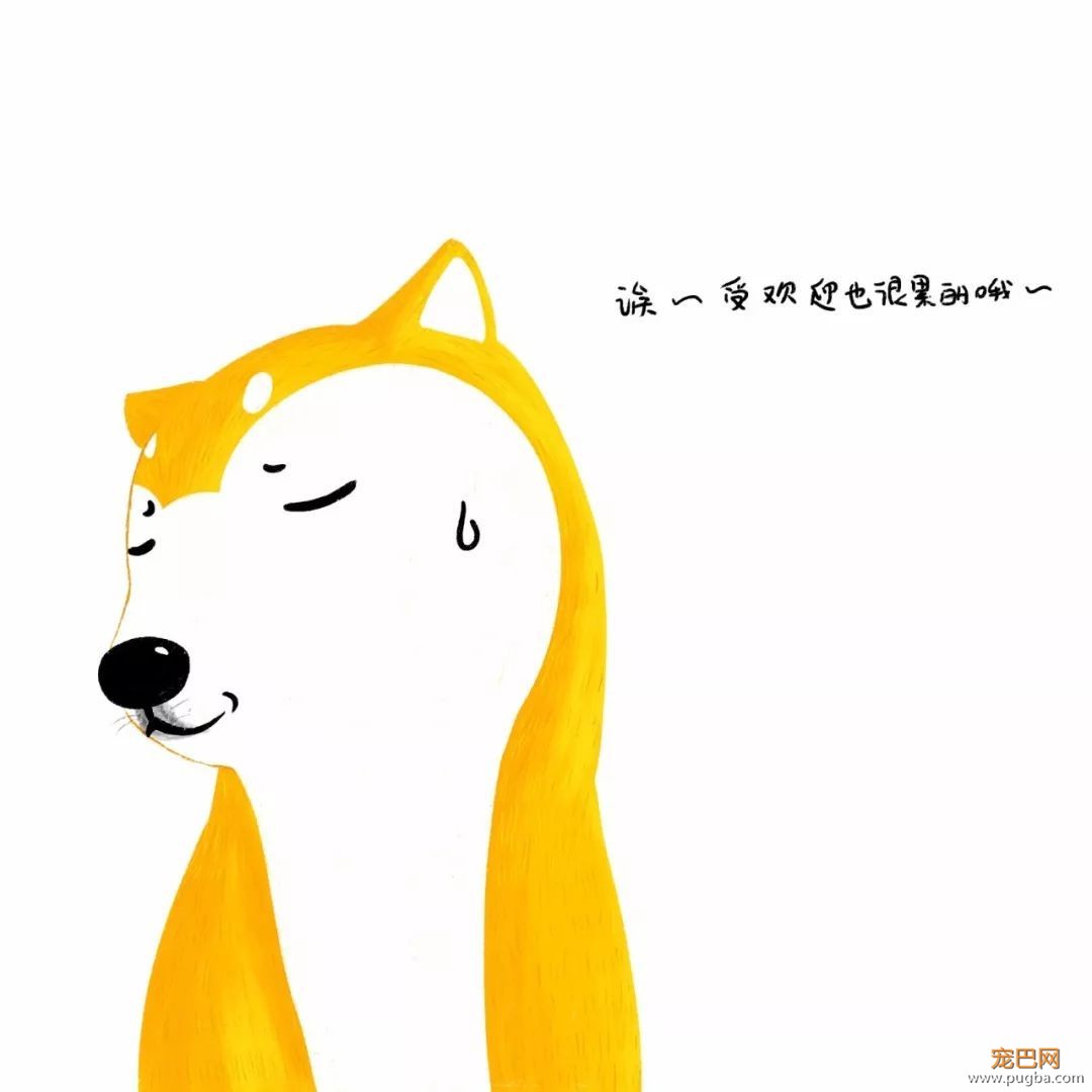 苦学半年狗语后，我终于采访到了你们的偶像——烧饼！-12.jpeg