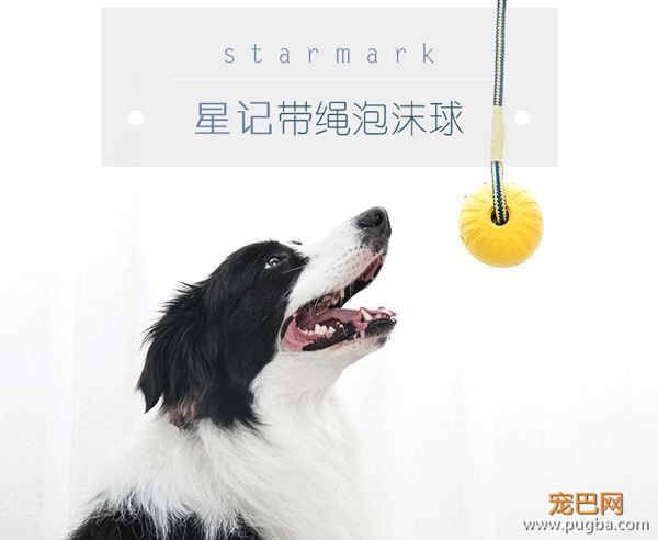 狗狗天天独处太可怜？买套星记玩具，赶走它的孤单寂寞-4.jpeg