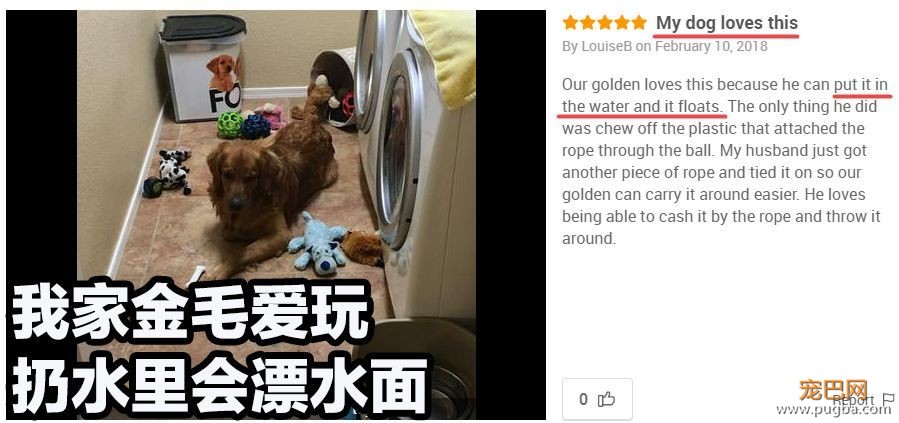 狗狗天天独处太可怜？买套星记玩具，赶走它的孤单寂寞-8.jpeg