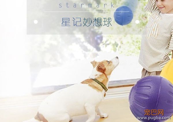 狗狗天天独处太可怜？买套星记玩具，赶走它的孤单寂寞-9.jpeg