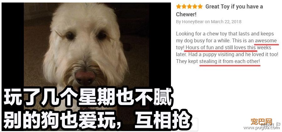 狗狗天天独处太可怜？买套星记玩具，赶走它的孤单寂寞-14.jpeg