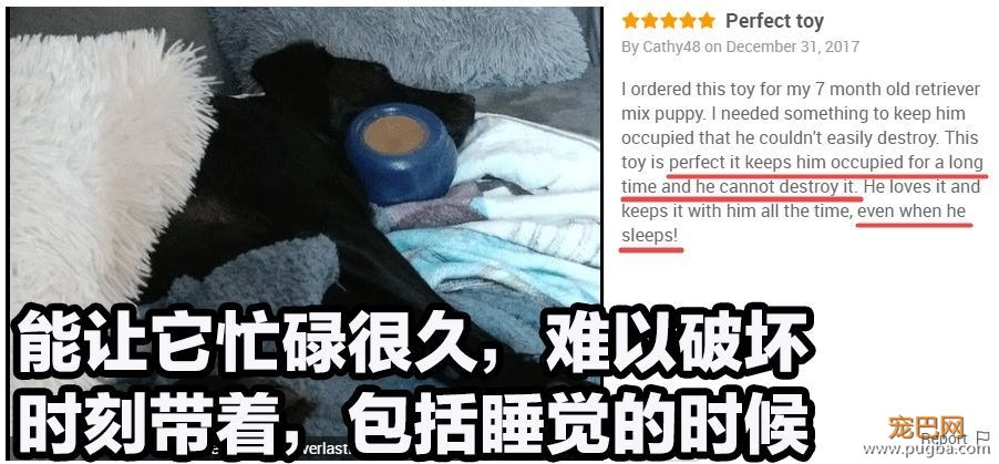 狗狗天天独处太可怜？买套星记玩具，赶走它的孤单寂寞-15.jpeg